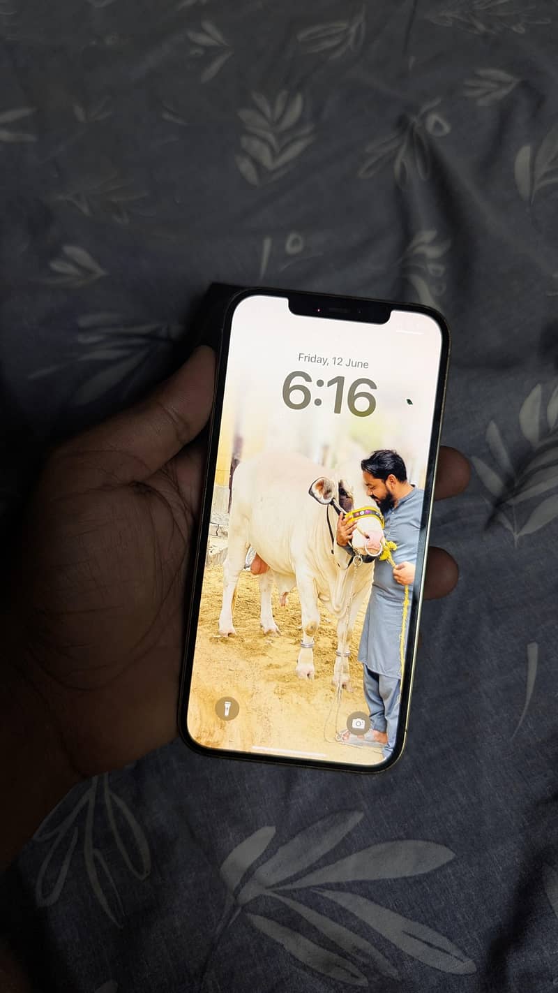 Apple iPhone 12 Pro Max 3