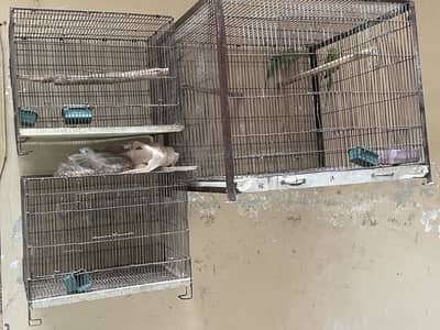 Cages for sale mazboot cages han