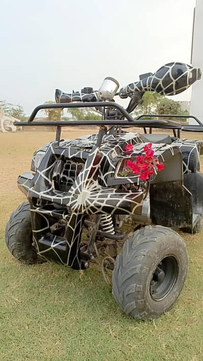 ATV quad bike 49 cc kids and adults both can ride.