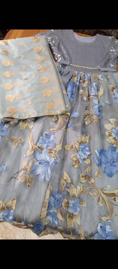 Silver grey and blue net and organza long frock with dupatta