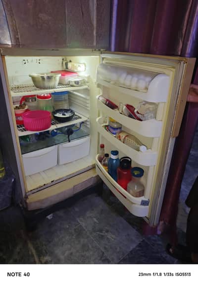 PEL refrigerato