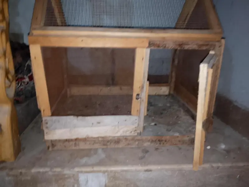best cage — photo 4