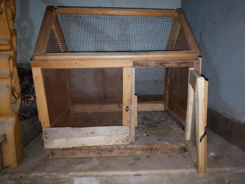 best cage — photo 7