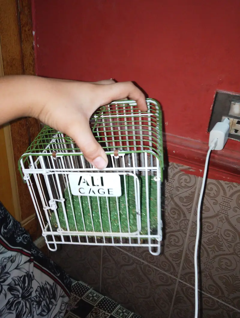 best cage — photo 9