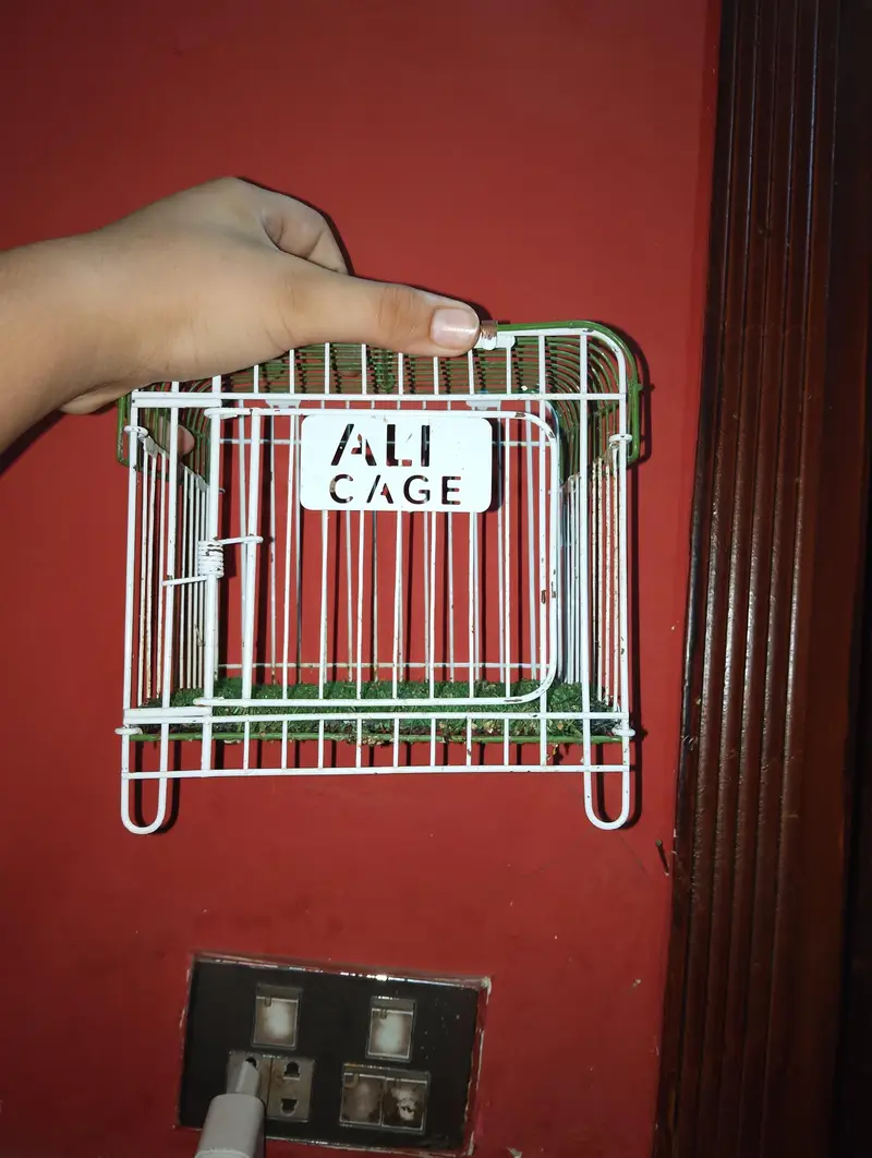 best cage — photo 10