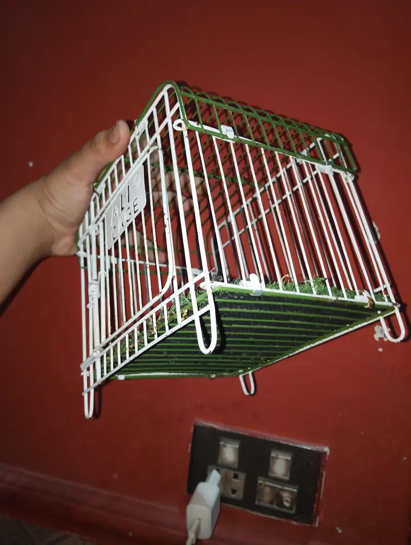 best cage — photo 11