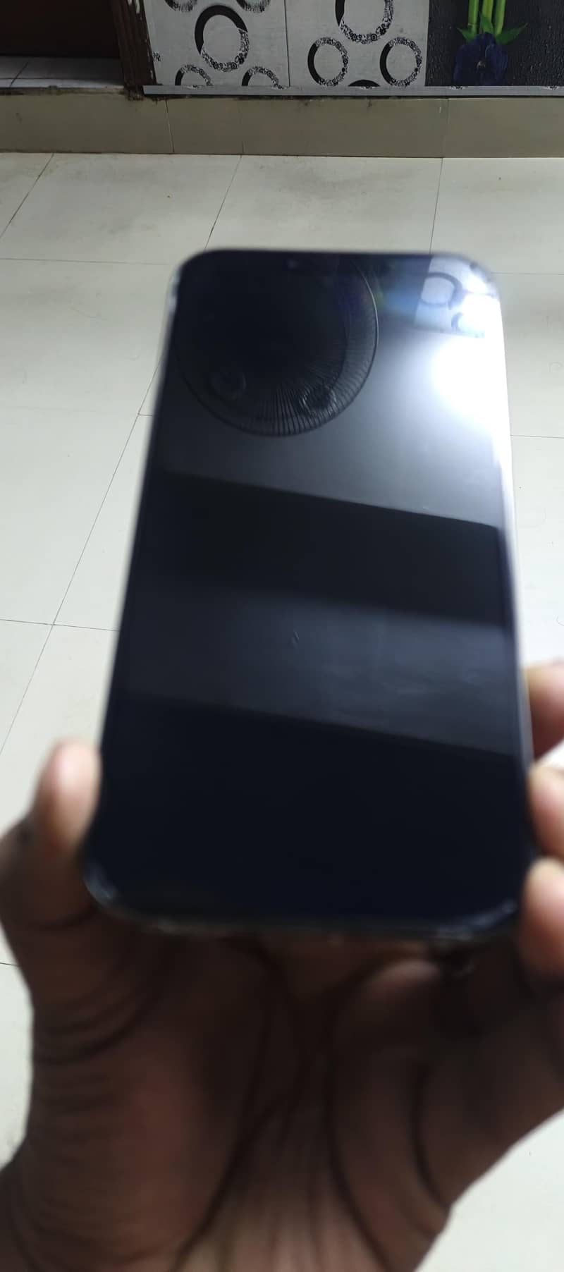 Apple iPhone 13 Pro Max 5