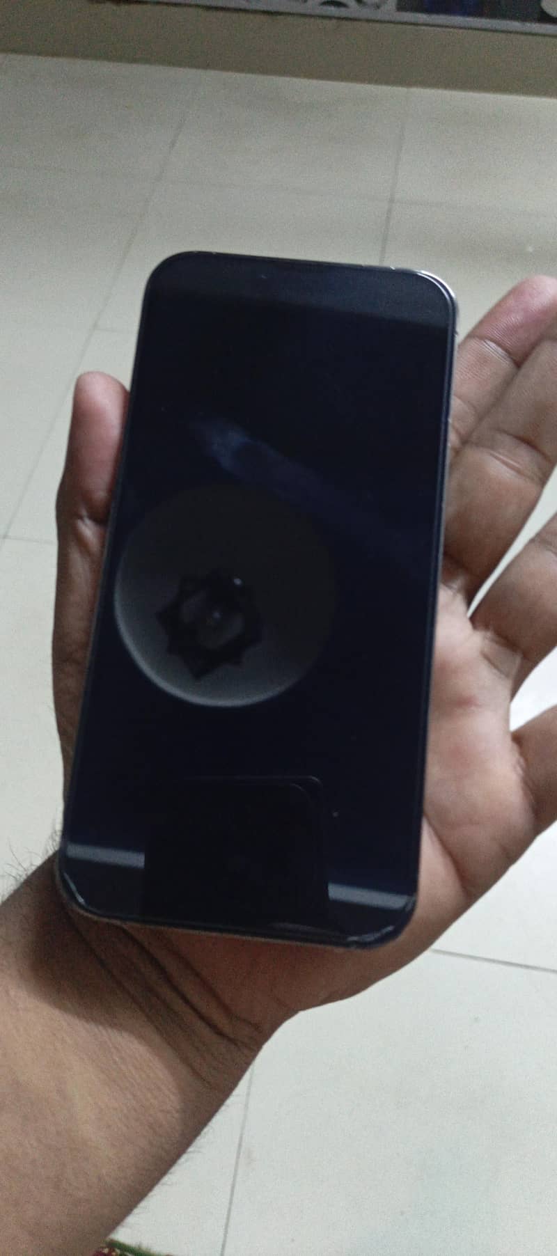 Apple iPhone 13 Pro Max 12