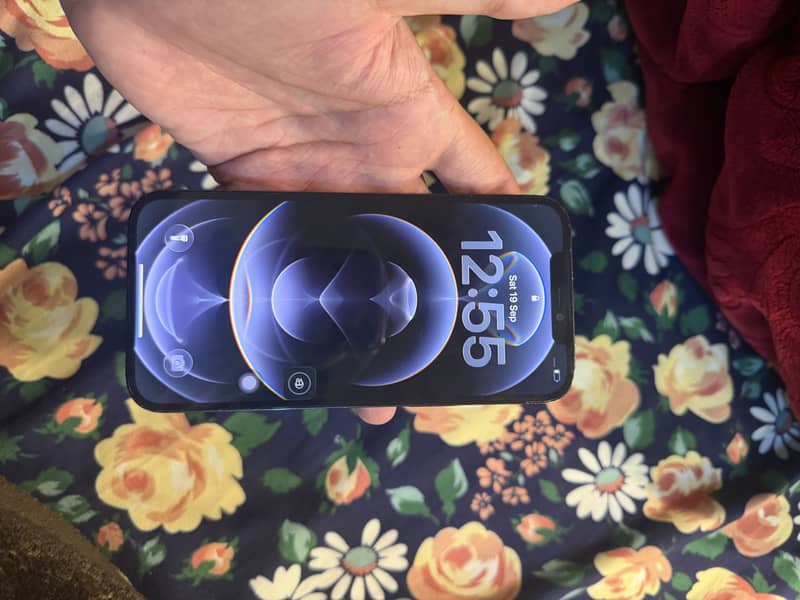 Apple iPhone 12 Pro Max 2