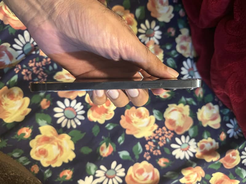 Apple iPhone 12 Pro Max 4