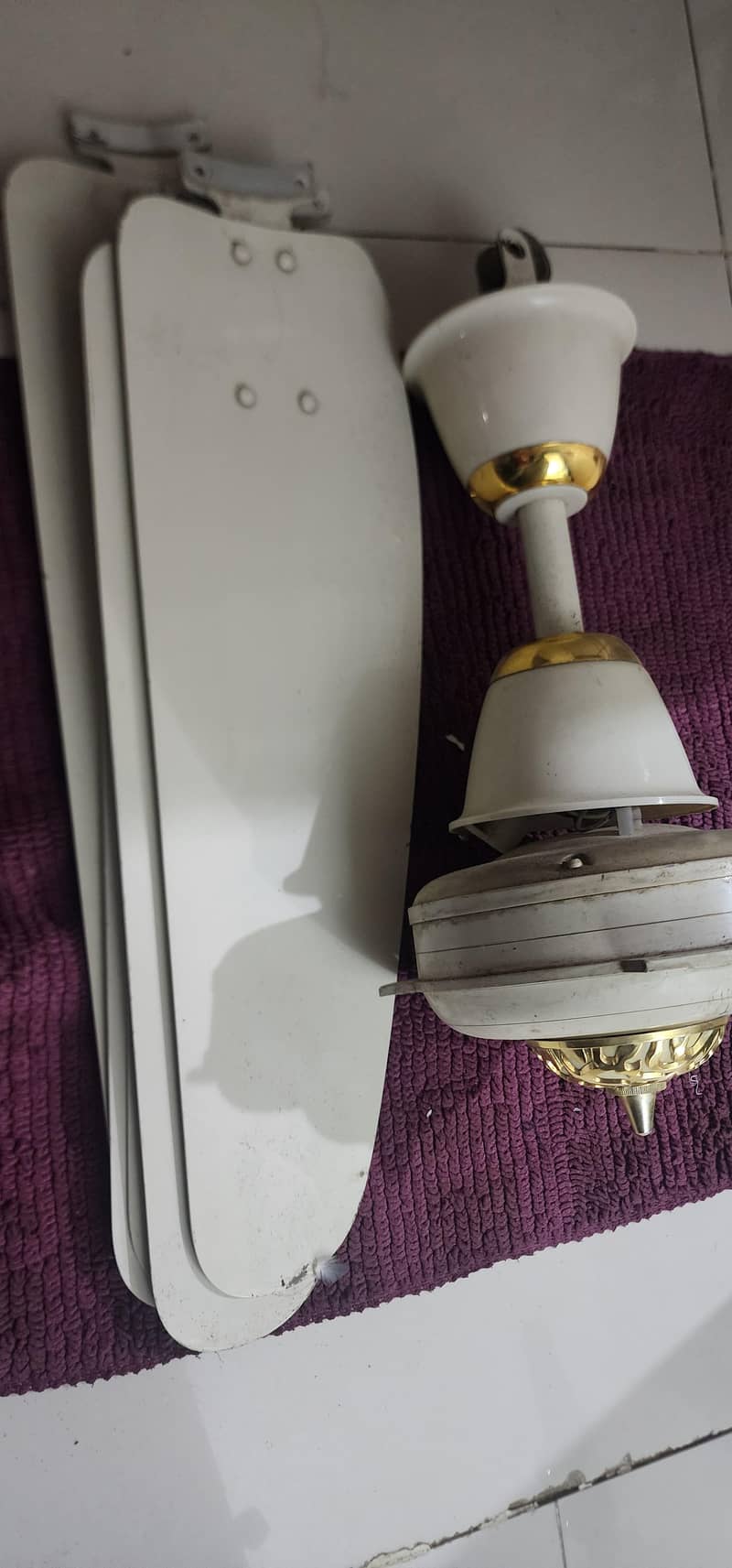 ceiling fan 1