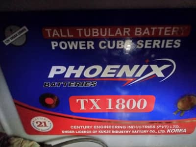 2 Phoenix Tx 1800 Tublar Battery