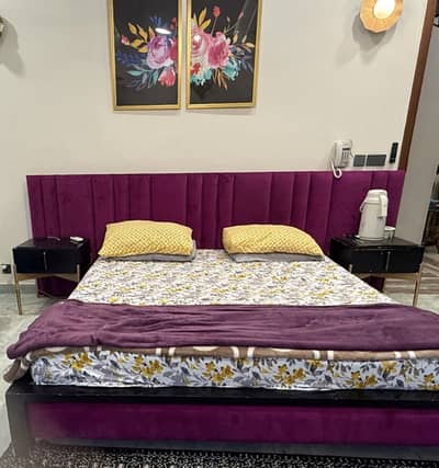 *Luxury Cushioned Tufted Bed Set - Used*