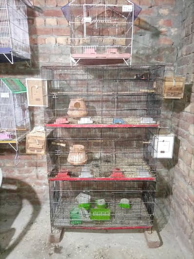 Iron Cage For Sale