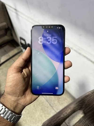 Apple iPhone 13 Pro Max