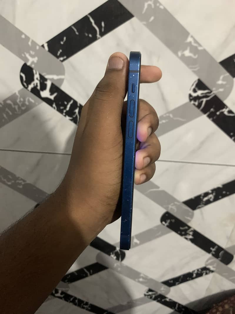 Apple iPhone 12 1