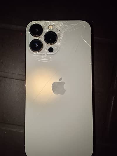 Apple iPhone 13 Pro Max