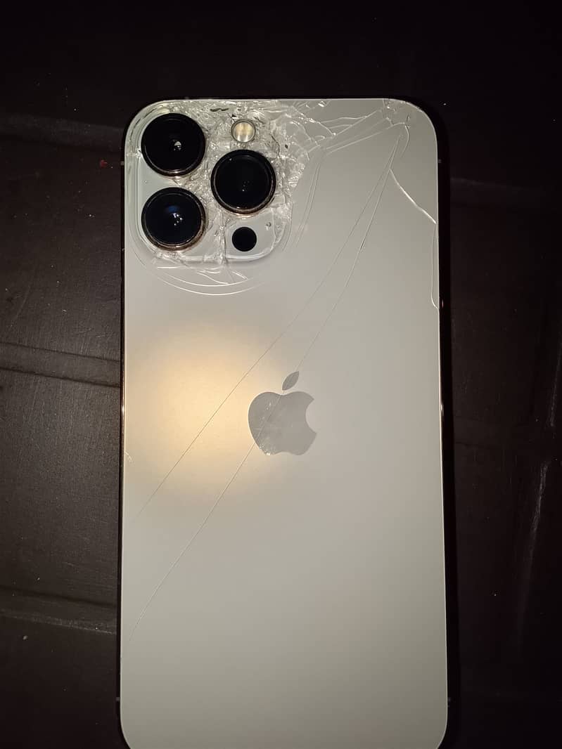 Apple iPhone 13 Pro Max 0
