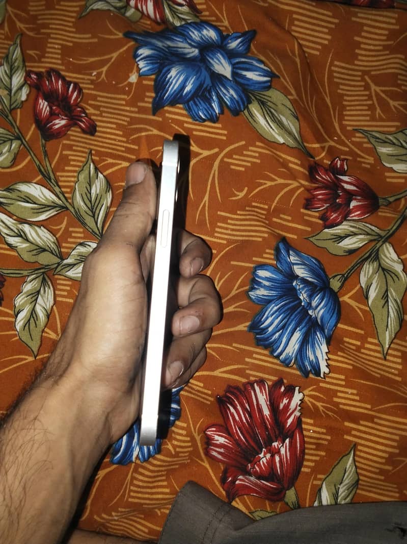 Apple iPhone 12 2