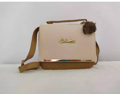 women luxury and beautiful hand bag