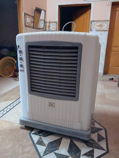 Sufi inverter celing fan for sale
