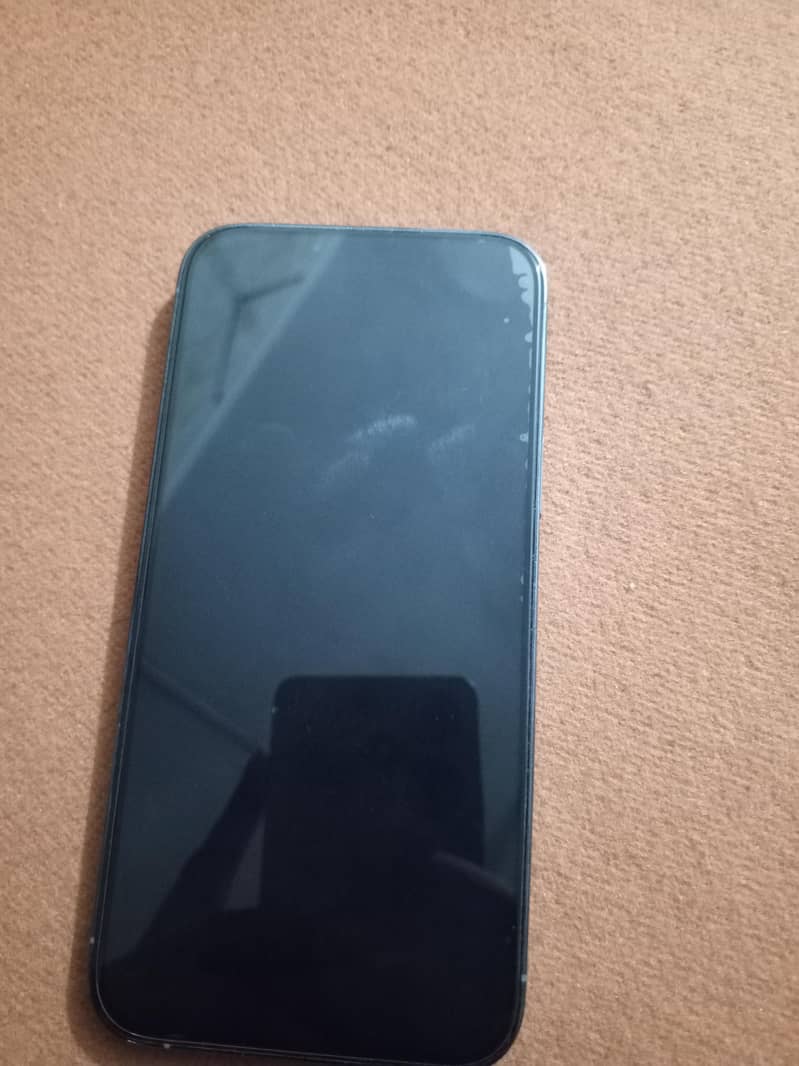 Apple iPhone 13 Pro Max 1