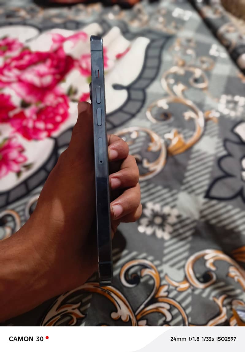 Apple iPhone 13 Pro Max 1
