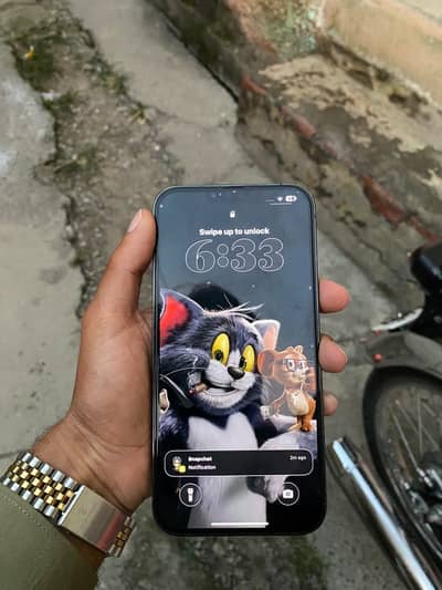Apple iPhone 13 Pro Max