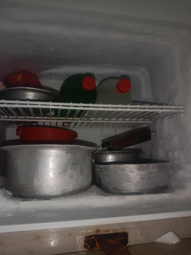 fridge 2