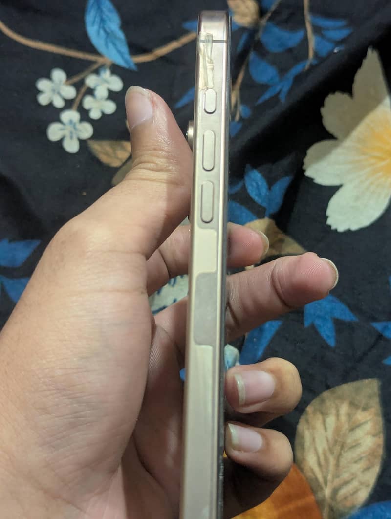 Apple iPhone 16 Pro Max 1