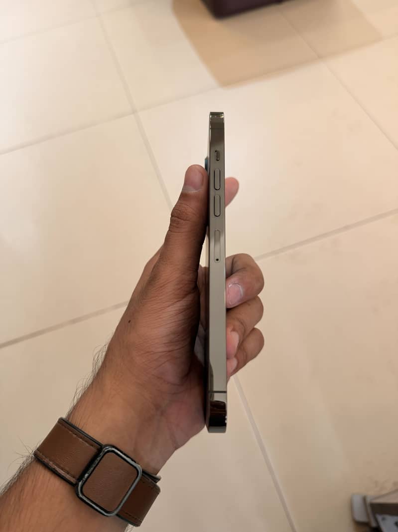 iPhone 13 Pro Max 1