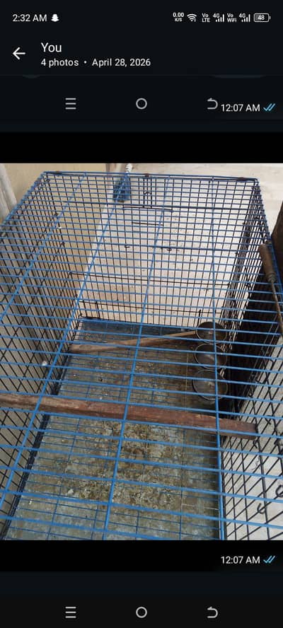 breeding Cage for Sale (grey , Pahari, macao For All Exotic birds)