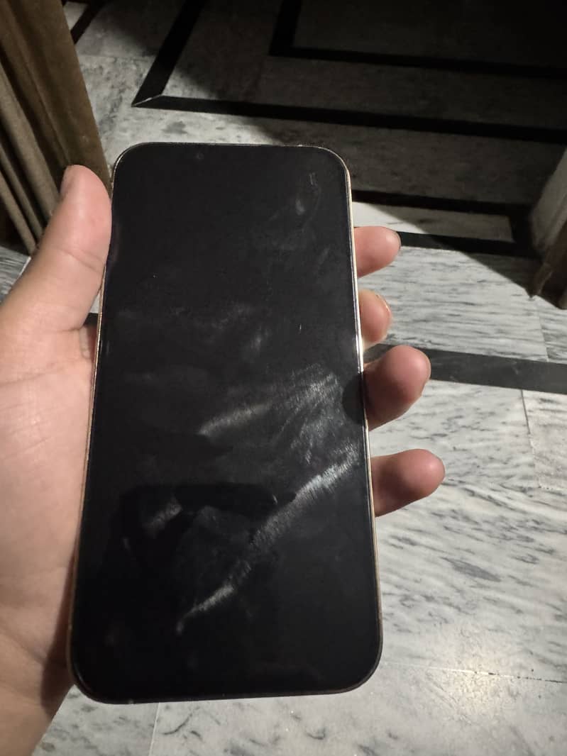 iPhone 13 Pro Jv 1