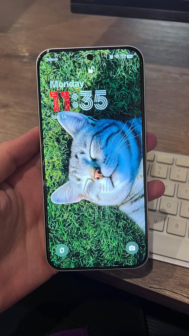 One Plus Other Model 1