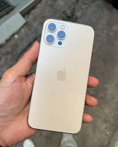 iPhone 12 Pro Max fu