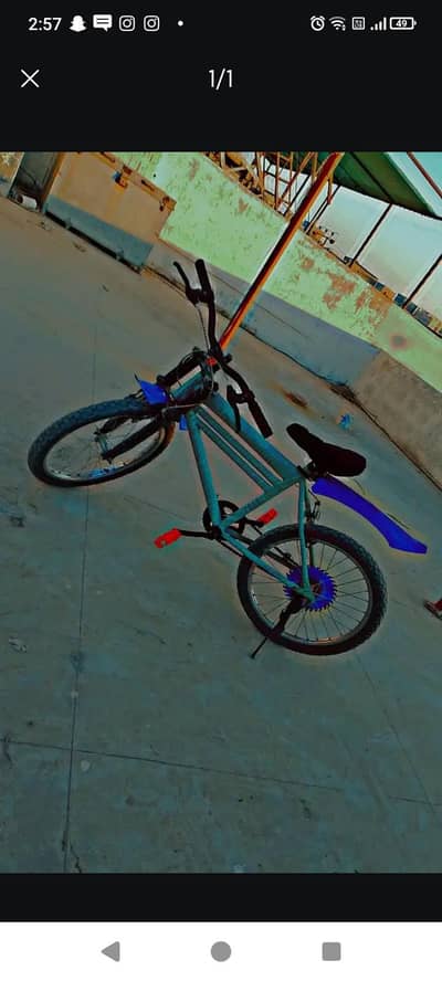 cycle for 12 till 13 years