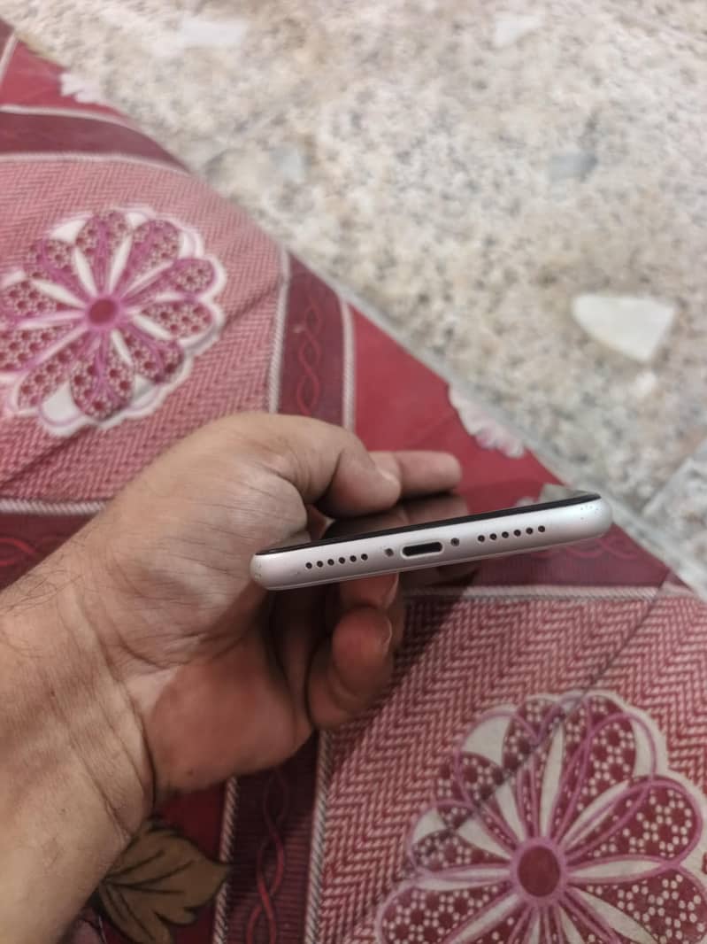Apple iPhone 11 3