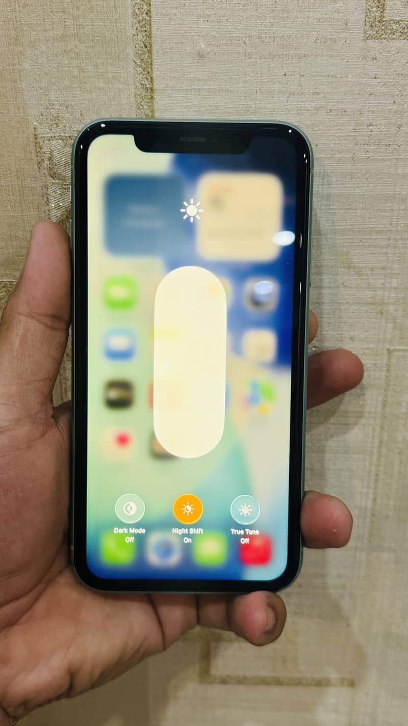 Apple iPhone 11 10