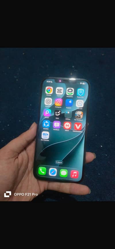 Apple iPhone 12 Pro Max