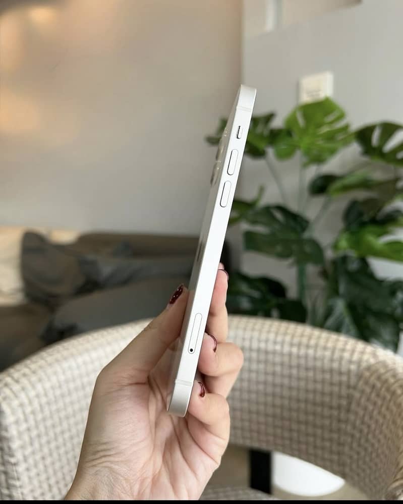 Apple iPhone 12 1