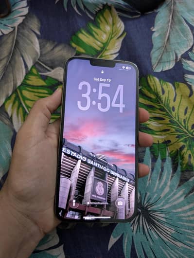 Apple iPhone 13 Pro Max