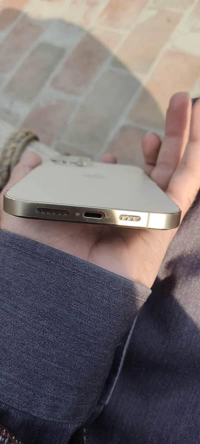 i phone 13 pro max