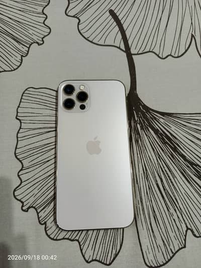 Apple iPhone 12 Pro