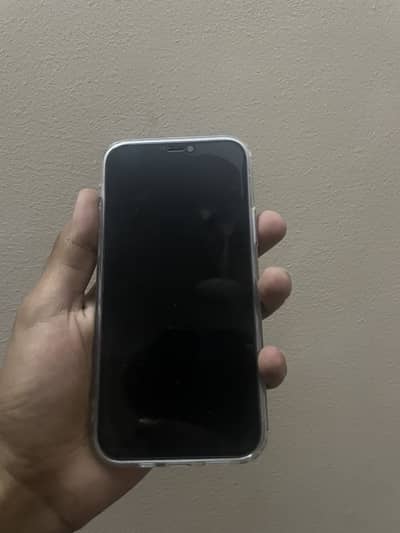 Apple iPhone 12