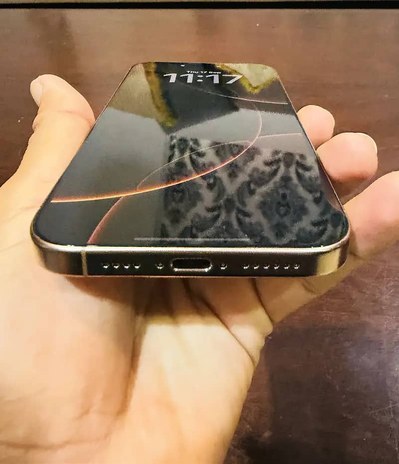 Apple iPhone 16 Pro Max 1
