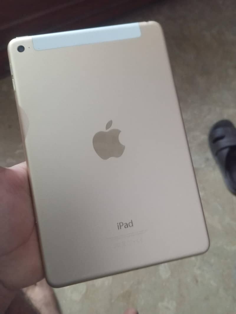 iPad mini 4 0