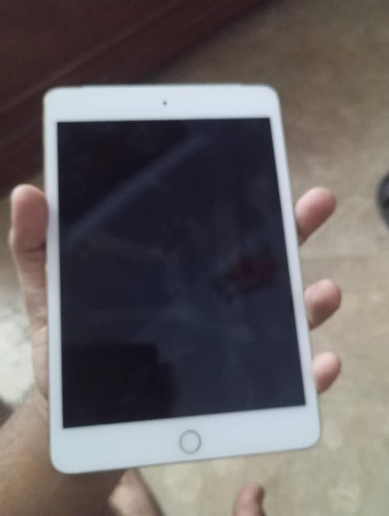 iPad mini 4 1