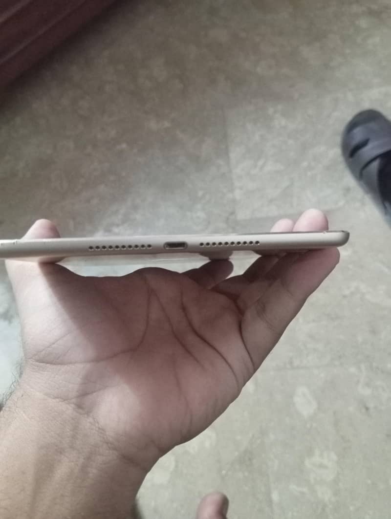 iPad mini 4 2