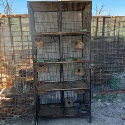 birds cage