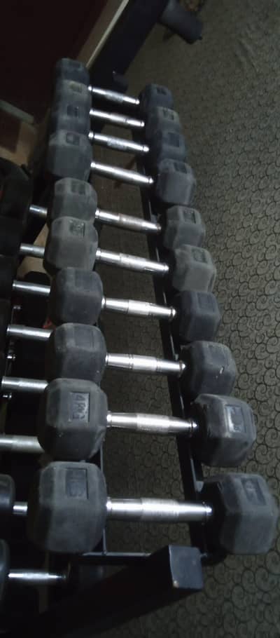 dumbbells rubber coated (03122670327)